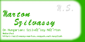 marton szilvassy business card